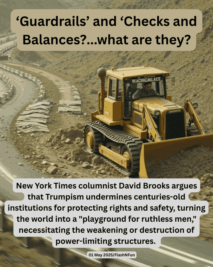 New York Times columnist David Brooks argues that Trumpism undermines centuries-old institutions for protecting rights and safety, turning the world into a "playground for ruthless men," necessitating the weakening or destruction of power-limiting structures.