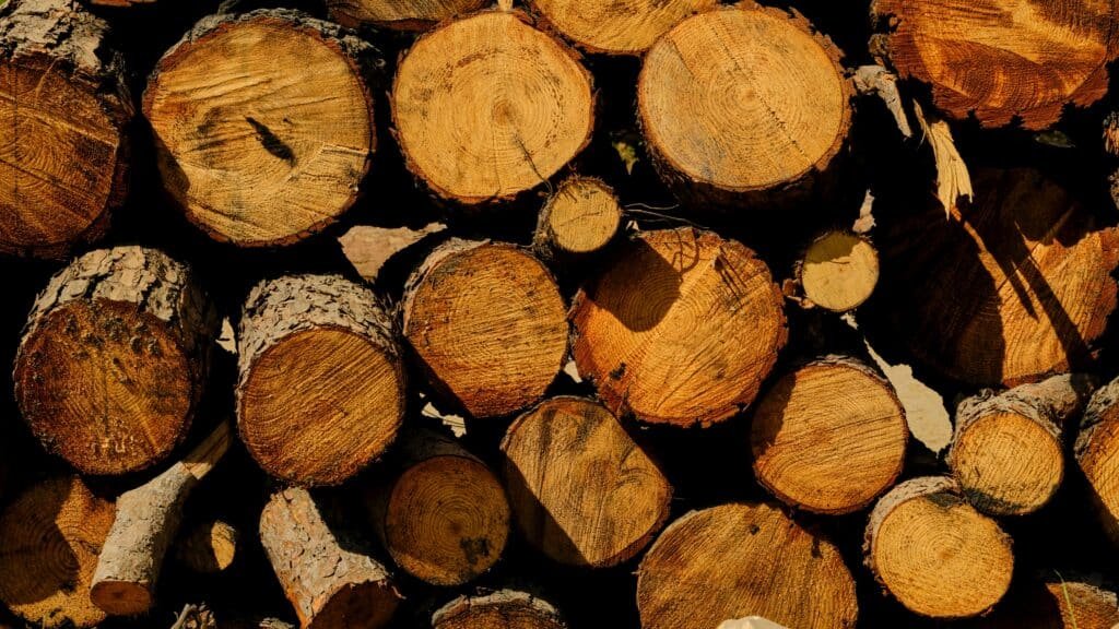 Detailed view of stacked wooden logs showcasing rough texture and growth rings; biomass energy