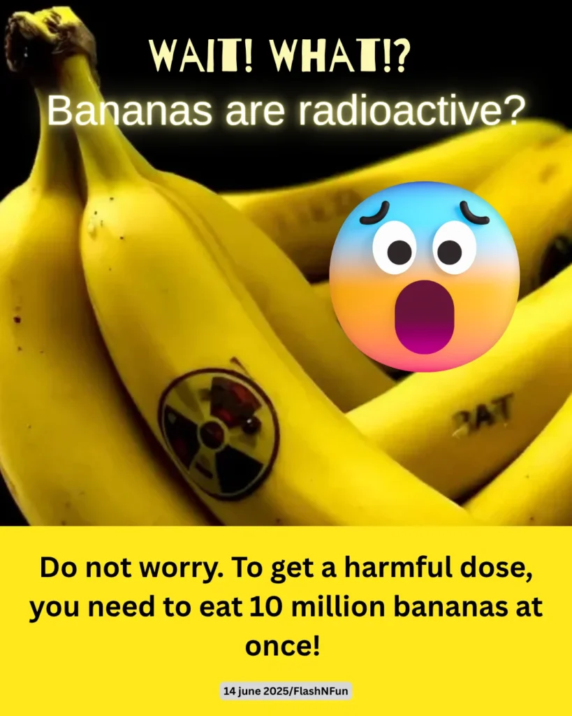 1. Bananas are radioactive.
Thanks to their high potassium content, bananas emit a tiny amount of radiation. Don’t worry, you’d need to eat about 10 million bananas at once to get a harmful dose!#bananas, #radioactivefruit, #fruitfacts, #foodmyths, #didyouknow, #bananabenefits, #nutritionfacts, #potassiumpower, #sciencehumor, #funfactfriday, #healthawareness, #mythbusters, #quirkyfacts, #healthyhumor, #bananaenergy, #flashnfun, #scienceeducation, #weirdbuttrue, #bananalovers, #mindblownmoments, #bananaknowledge, #foodiefacts, #healthytips, #funnyfoodfacts, #fruitloversunite
