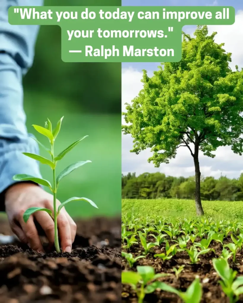 "What you do today can improve all your tomorrows."
— Ralph MarstonRalph Marston is a well-known motivational writer and speaker, recognized for his uplifting messages on personal growth and positivity. He gained prominence through The Daily Motivator, a collection of short, inspiring reflections designed to encourage resilience and self-improvement. His philosophy emphasizes taking personal responsibility, maintaining a positive mindset, and embracing gratitude as key elements of success. Marston’s work has resonated with individuals seeking motivation in their daily lives, making him a respected figure in the self-help and personal development space. His simple yet powerful insights continue to inspire people worldwide to cultivate optimism and take meaningful action,#nature, #environment, #planting, #growth, #sustainability, #green, #ecofriendly, #gardening, #trees, #forest, #conservation, #earth, #climatechange, #organic, #agriculture, #farming, #ecology, #naturelovers, #greenliving, #savetheplanet, #biodiversity, #naturephotography, #quotes, #ralphmarston, #inspiration