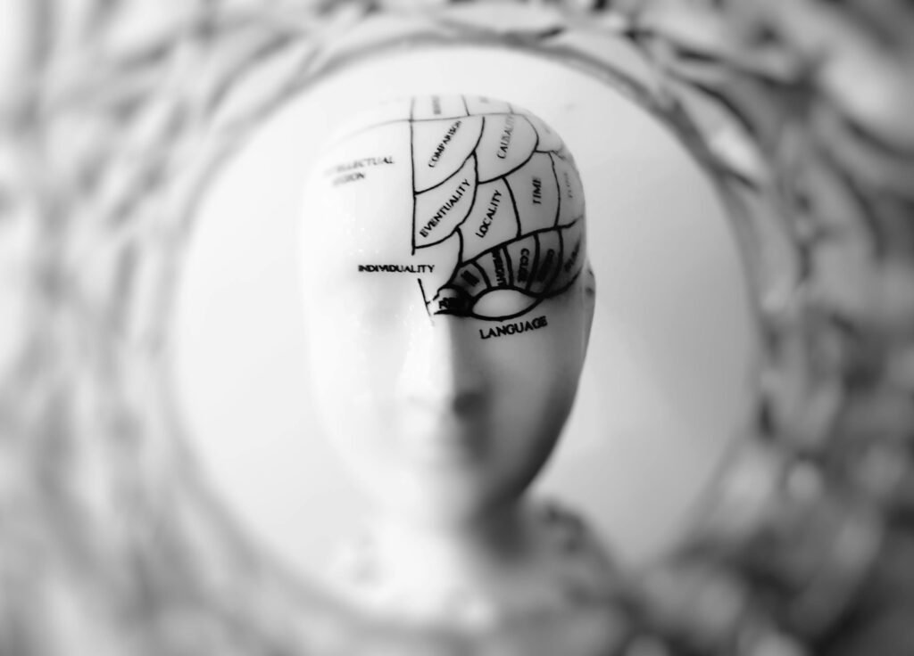 Close-up black and white image of a phrenology head with brain sections labeled. carl jung - psychiatrist and psychotherapist